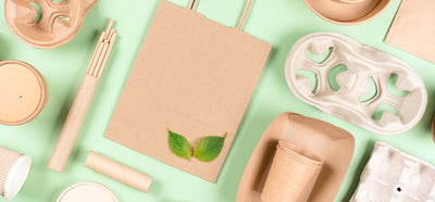 3 Best Reasons To Use Paper Boat Trays In Your Food Business