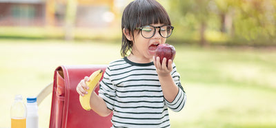 5 Factors To Consider When Shopping For Your Kid's Lunchbox