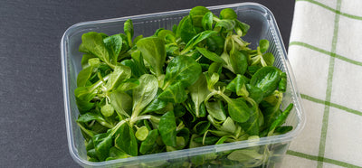 5 Ways To Ensure Food Safety When Using Plastic Containers