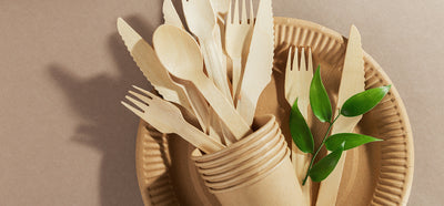 Difference Between Biodegradable And Compostable Packaging