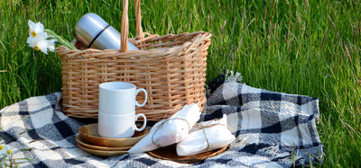 Environmentally-Friendly Picnic: 6 Tips To Ease The Process