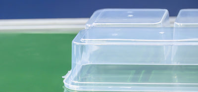 Food Grade Plastic: Which Containers Are Safe For Food?