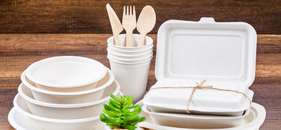 Why Businesses Should Use Biodegradable Packaging For Food